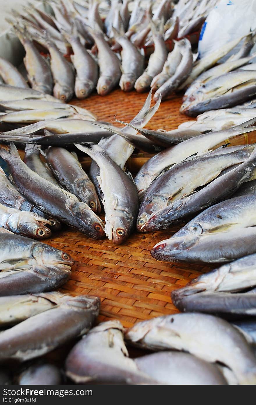 Fish at the market