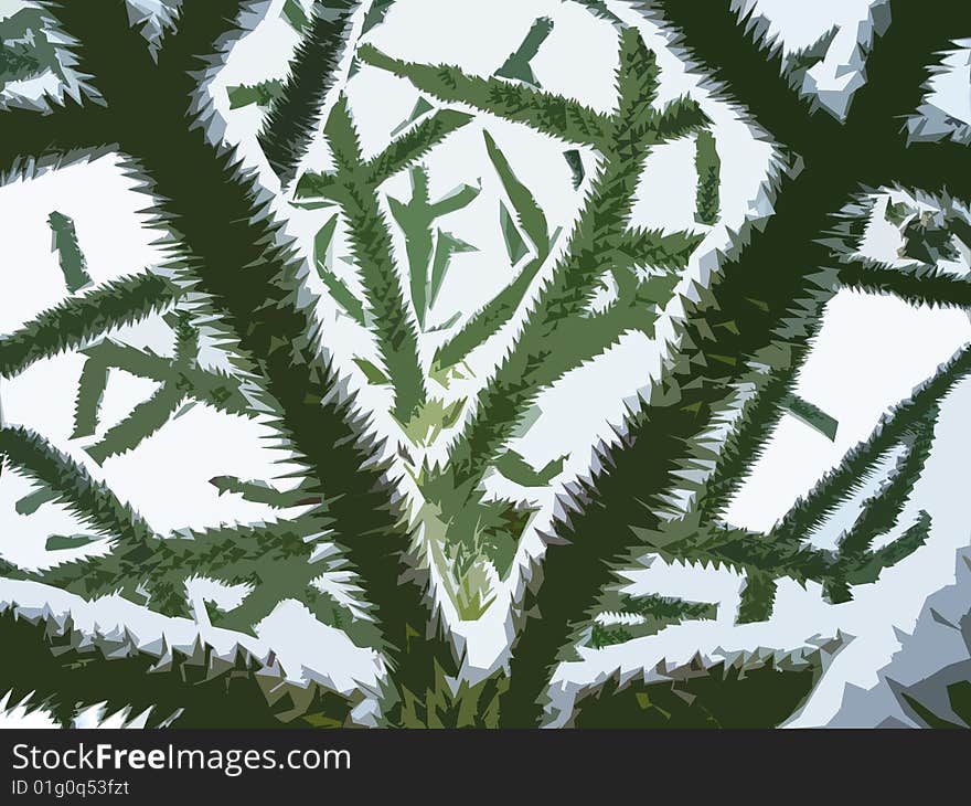 Monkey Puzzle Tree