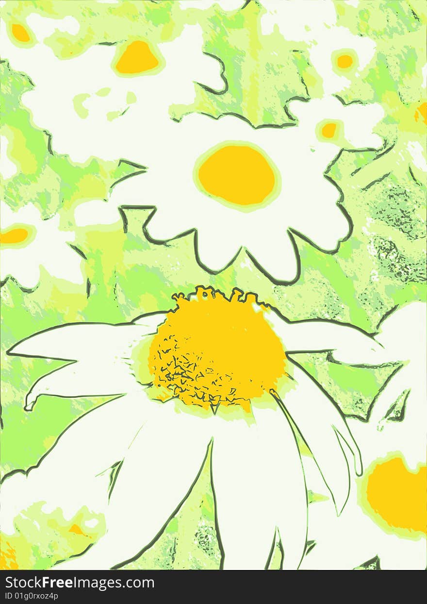 An illustration of some daisies. An illustration of some daisies