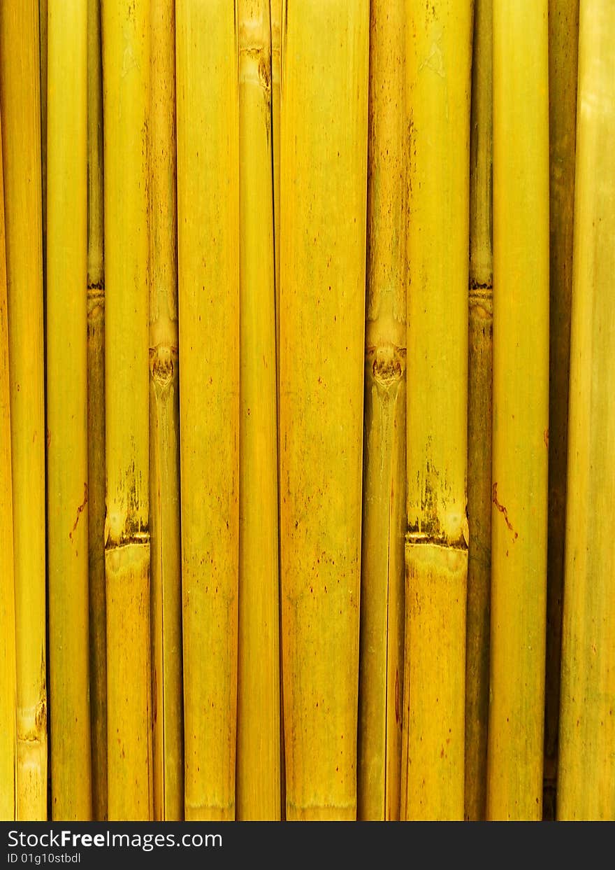 Bamboo Stalks