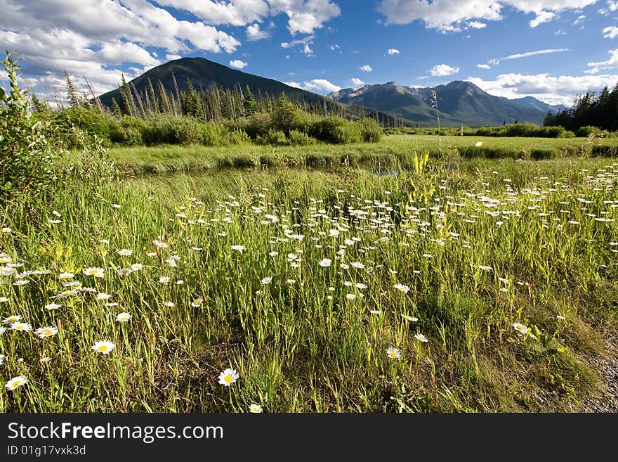 The meadows at Lake Vermillion, Banff, Canada