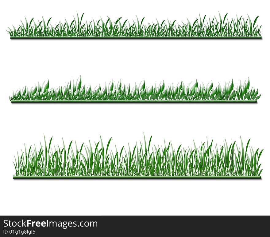 Grass isolated on white background