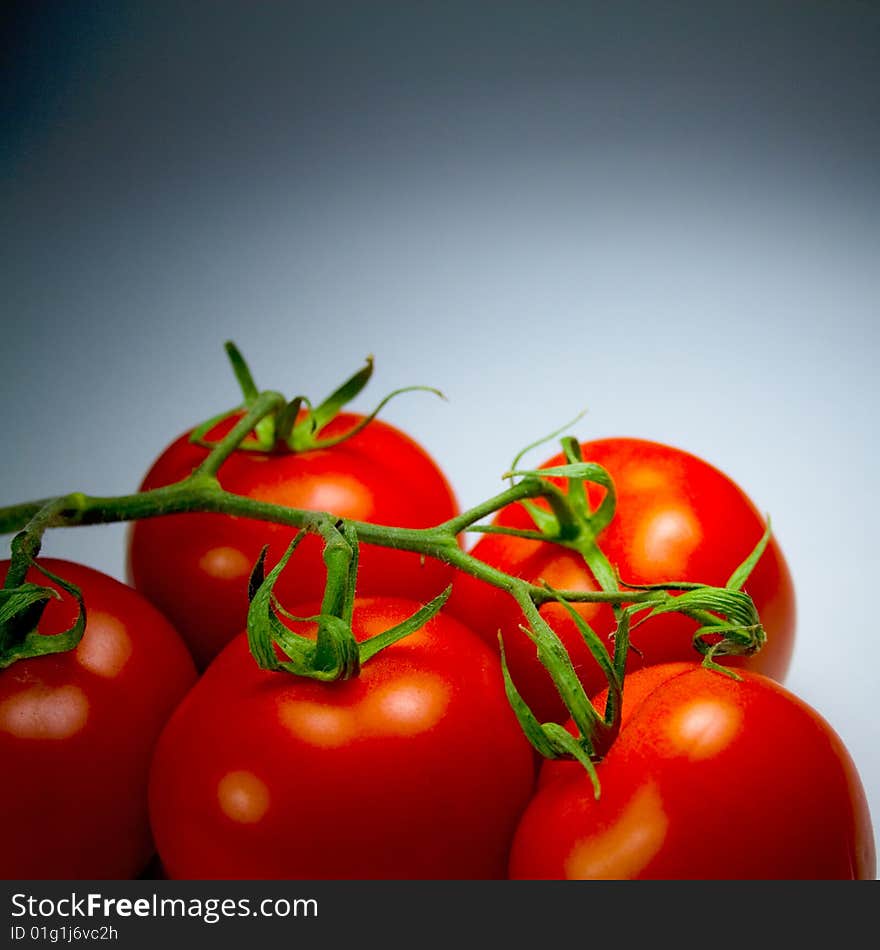 Fresh tomatoes on white background