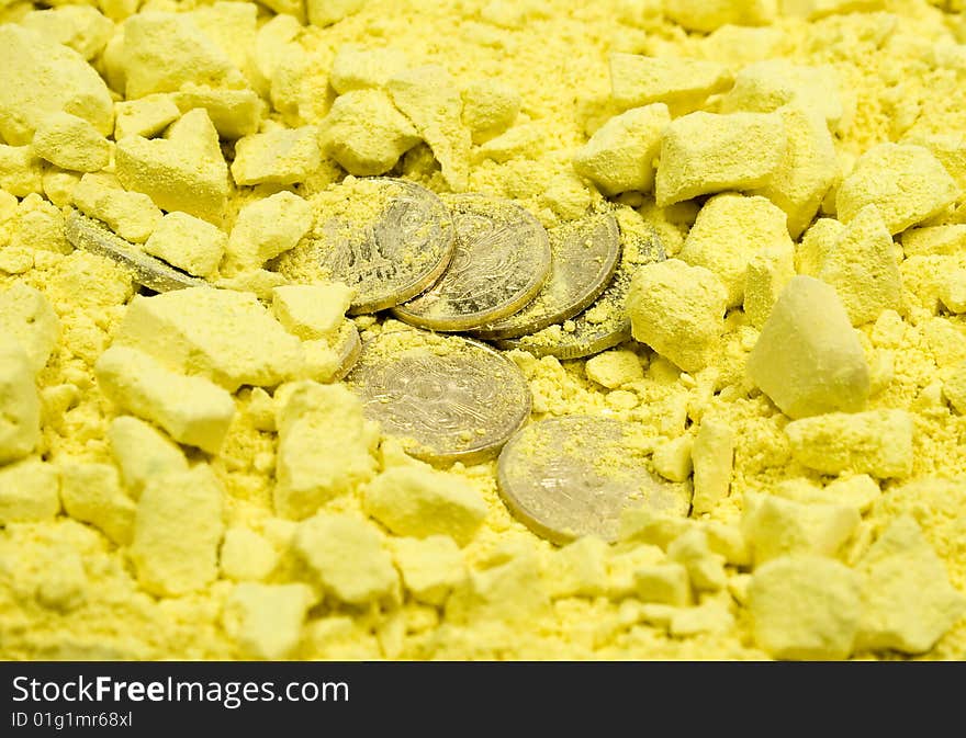 Coins In Yellow