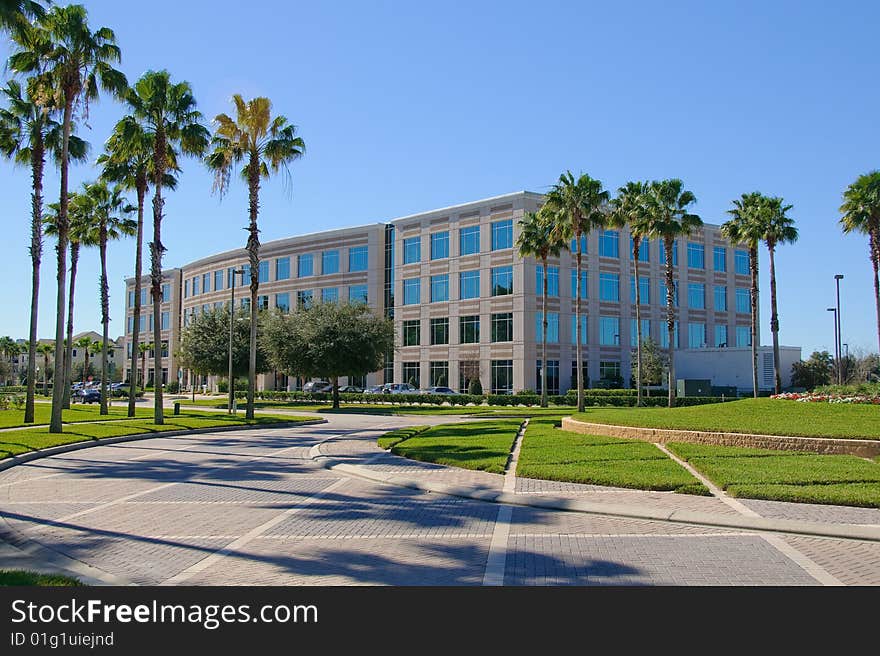 Office Building with palms