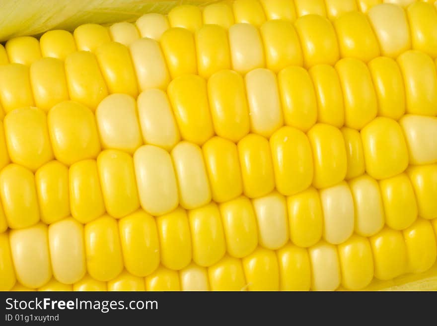 Bright yellow corn maze background