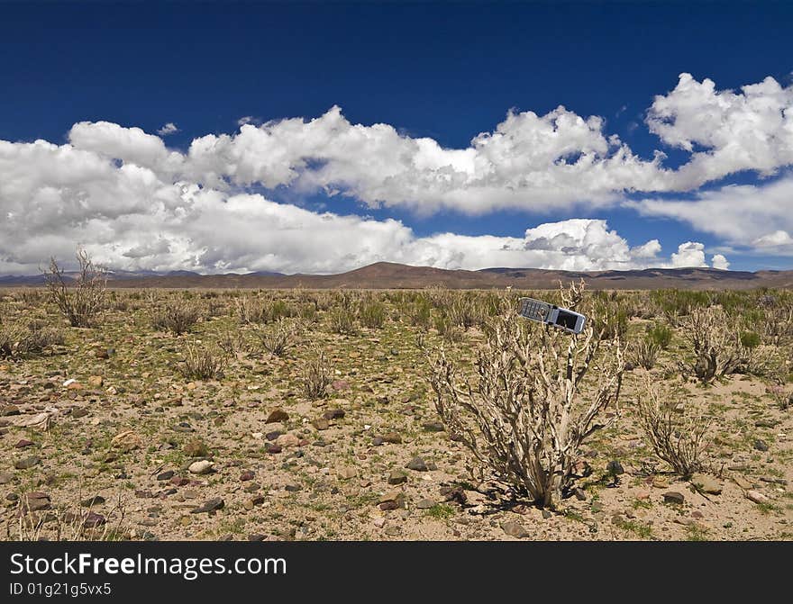 Lost In The Desert