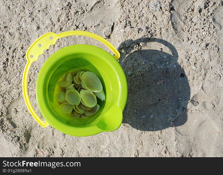 Toy bucket with shells on beach