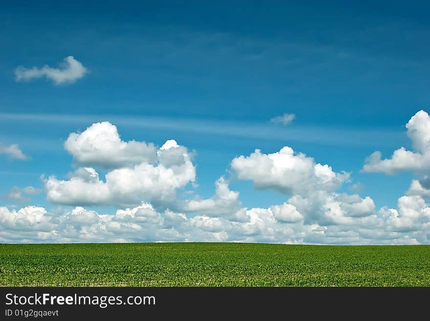 Background Of Cloudy Sky And Grass