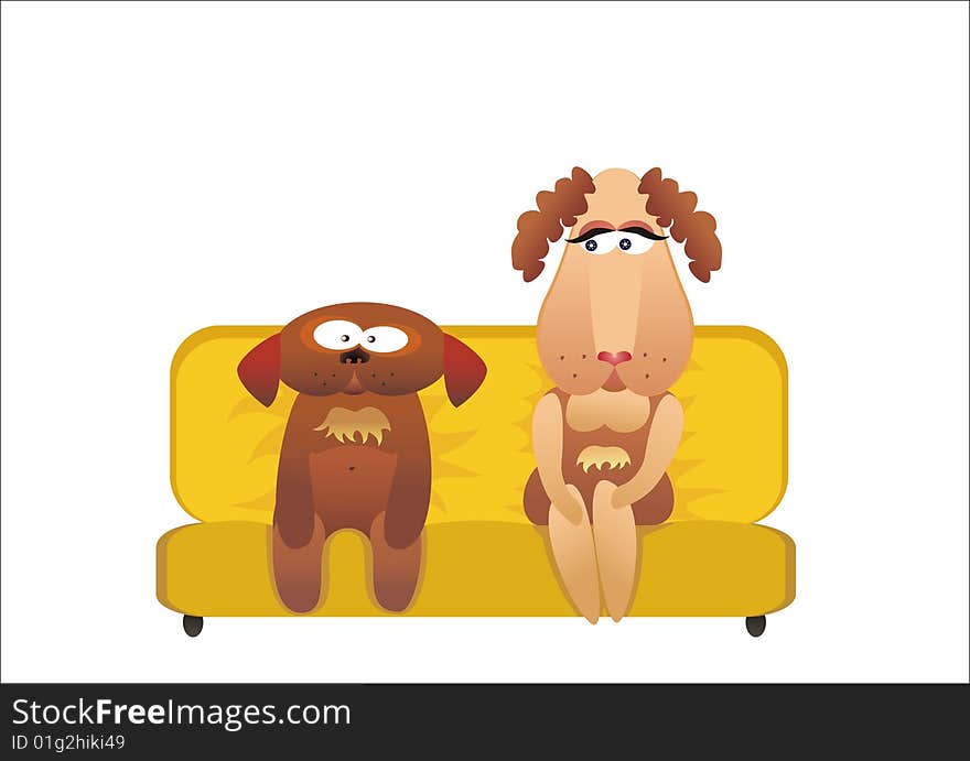 Two dogs sit on a yellow sofa