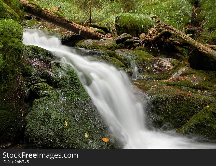 Mountain river flowing in forest. Mountain river flowing in forest