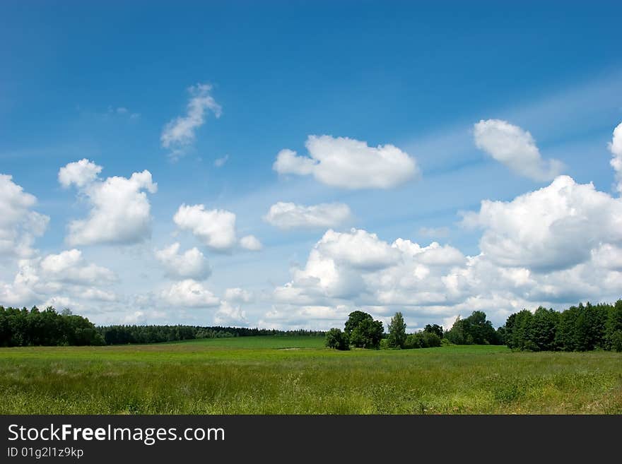 Green grass, the blue sky and white clouds. Green grass, the blue sky and white clouds