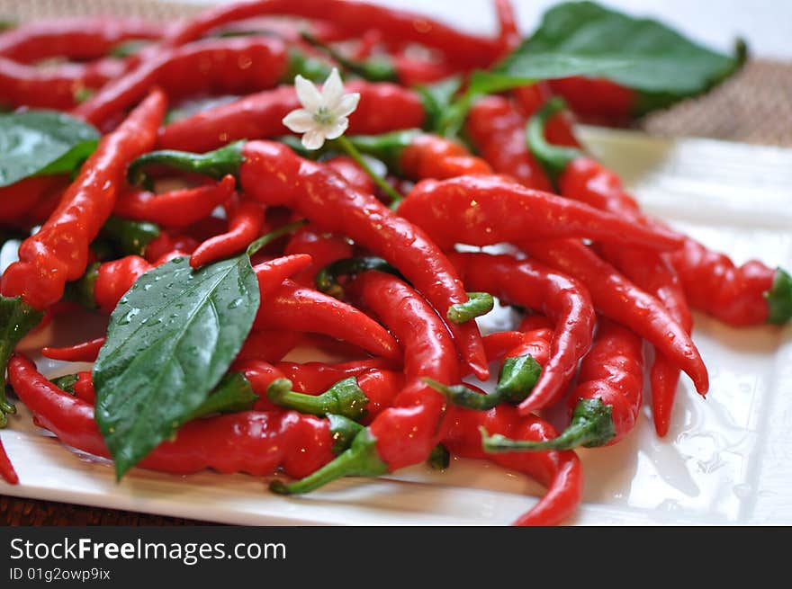 Fresh garden chillies on a plate. Fresh garden chillies on a plate