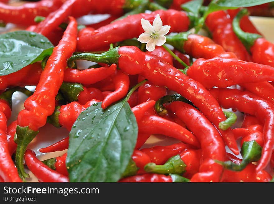 Fresh garden chillies on a plate. Fresh garden chillies on a plate