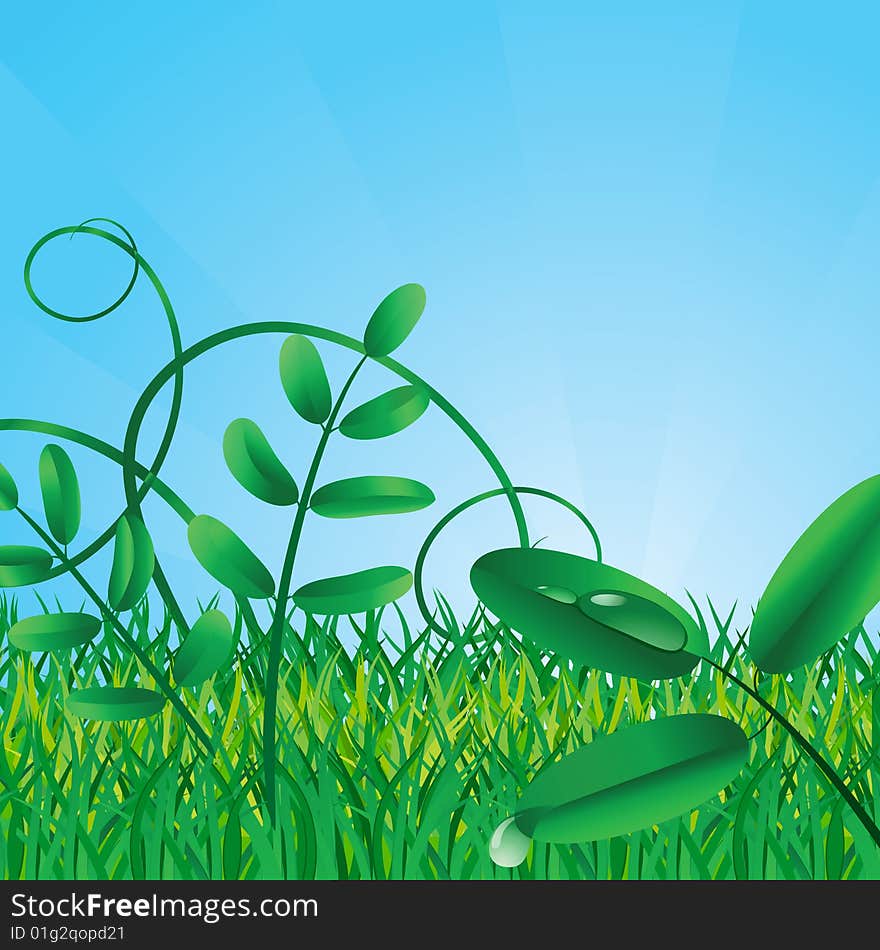 Ecological green background. Vector illustration. Ecological green background. Vector illustration