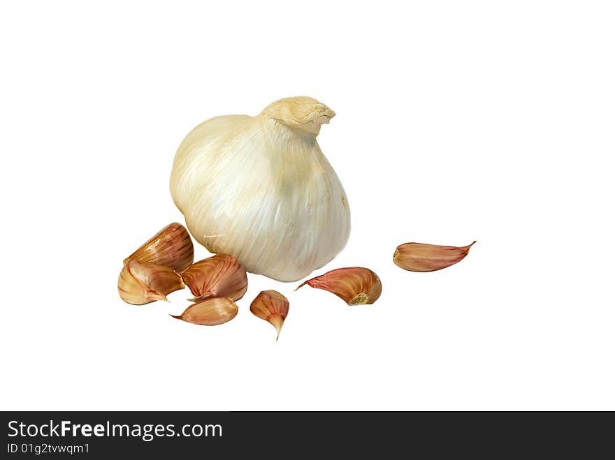 Garlic