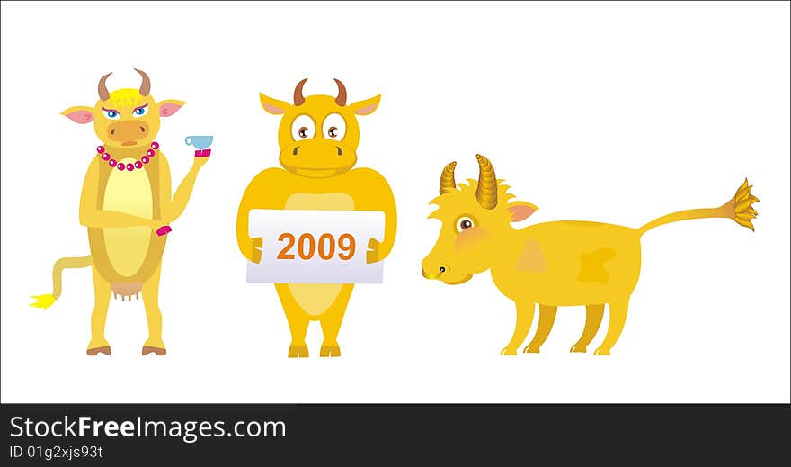 Family of yellow bulls on a white background