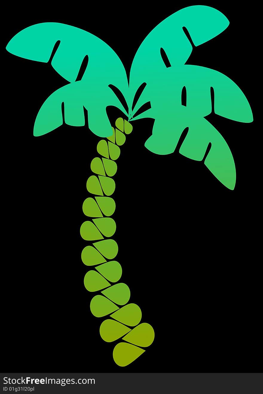 Palm Tree