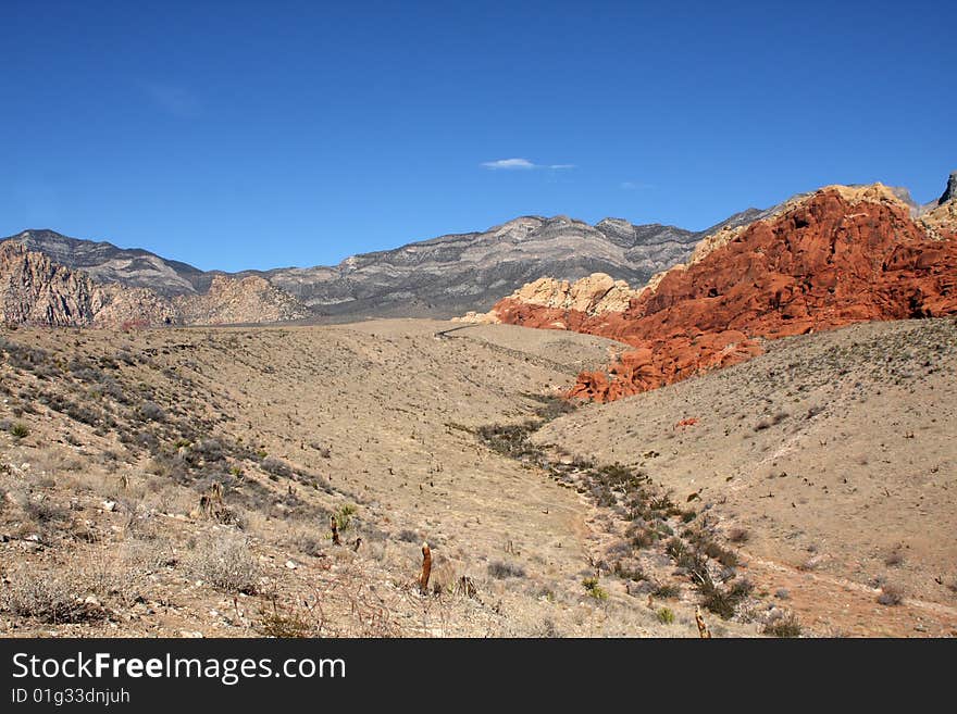 Desert Landscape