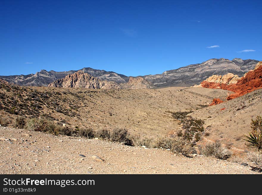 Desert Landscape