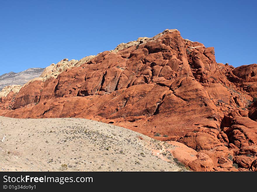 Desert Landscape