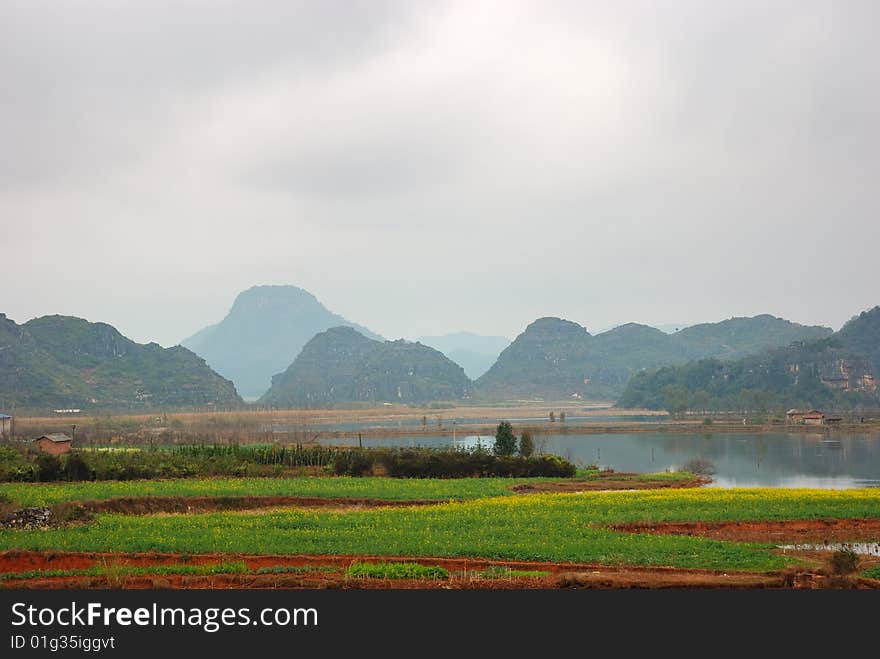 Spring has come, nearby in lake paddies plants flower. Spring has come, nearby in lake paddies plants flower