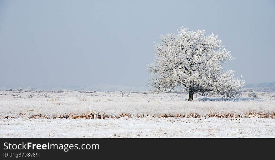 Nature in winter with snow, ice and a clear blue sky. Nature in winter with snow, ice and a clear blue sky