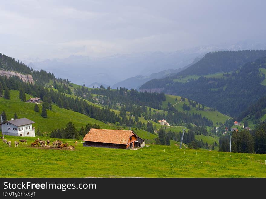 Swiss Alps in summer