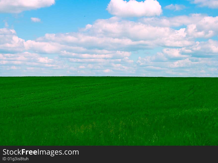 Field and blue sky