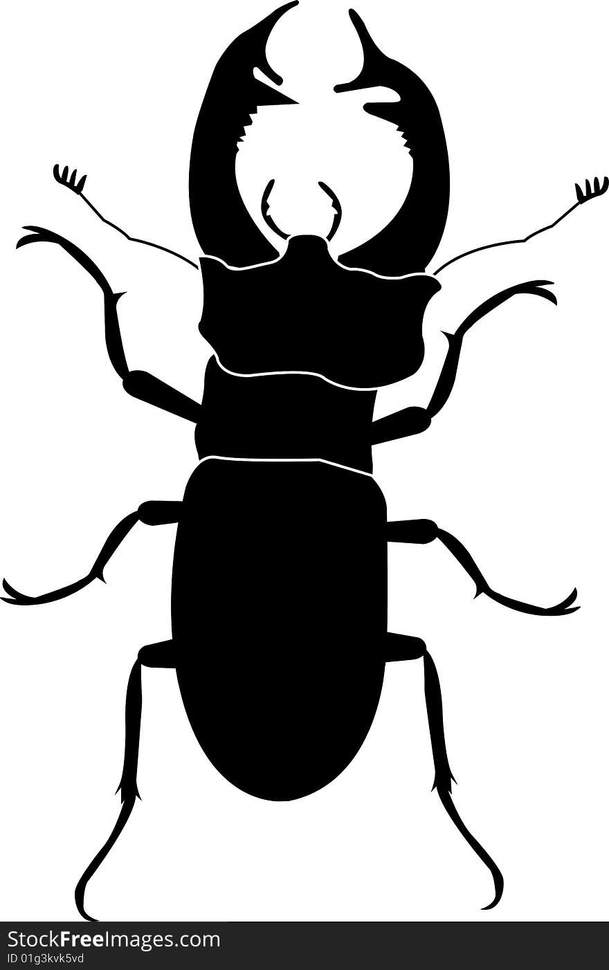 Stag beetle