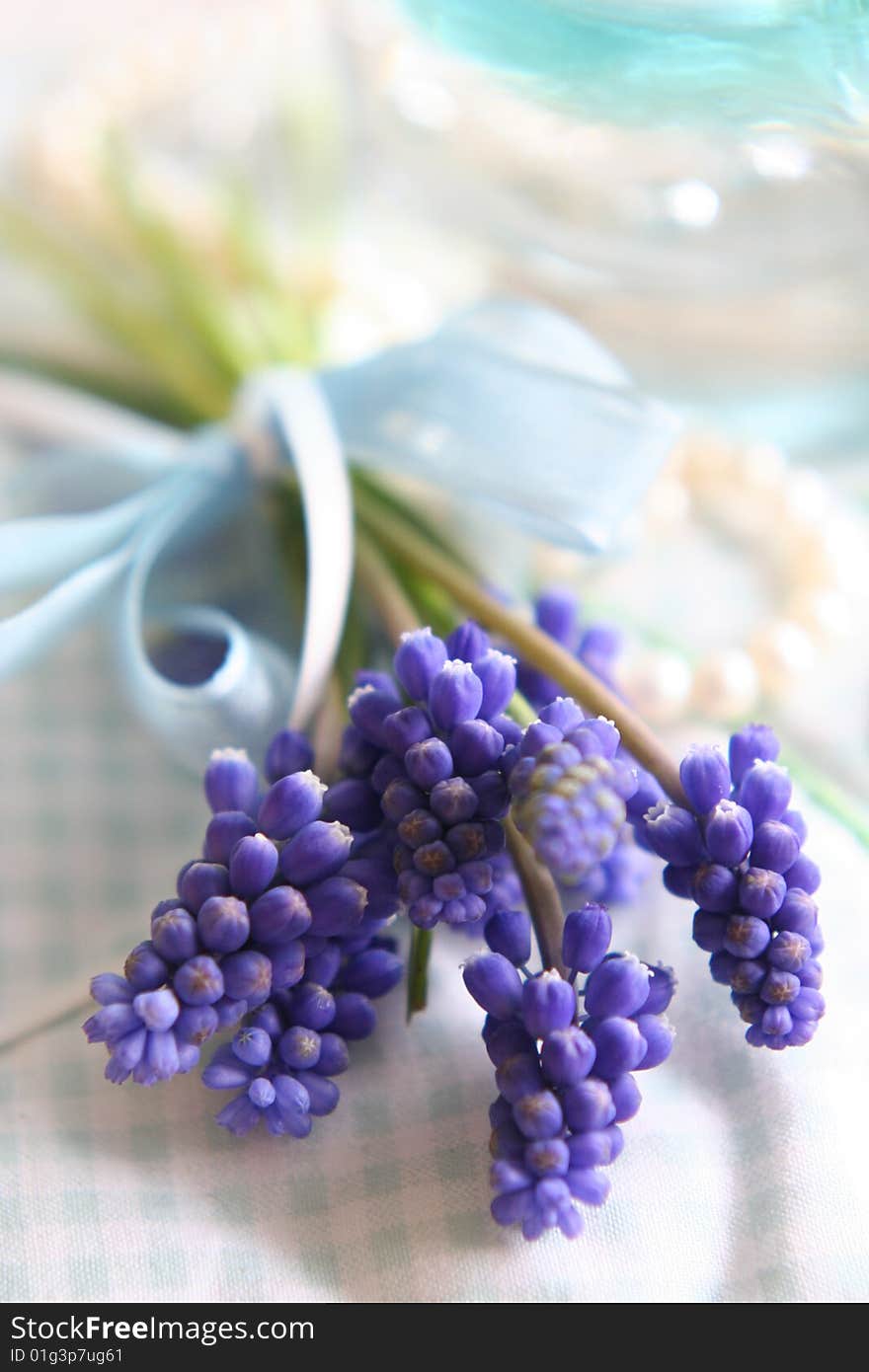 Spring lilac flowers