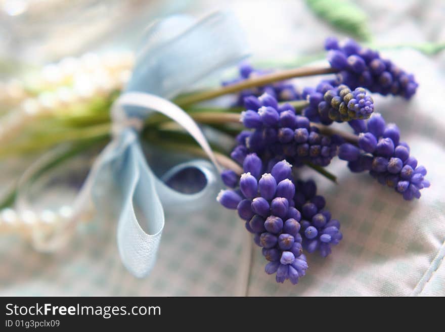 Spring flowers