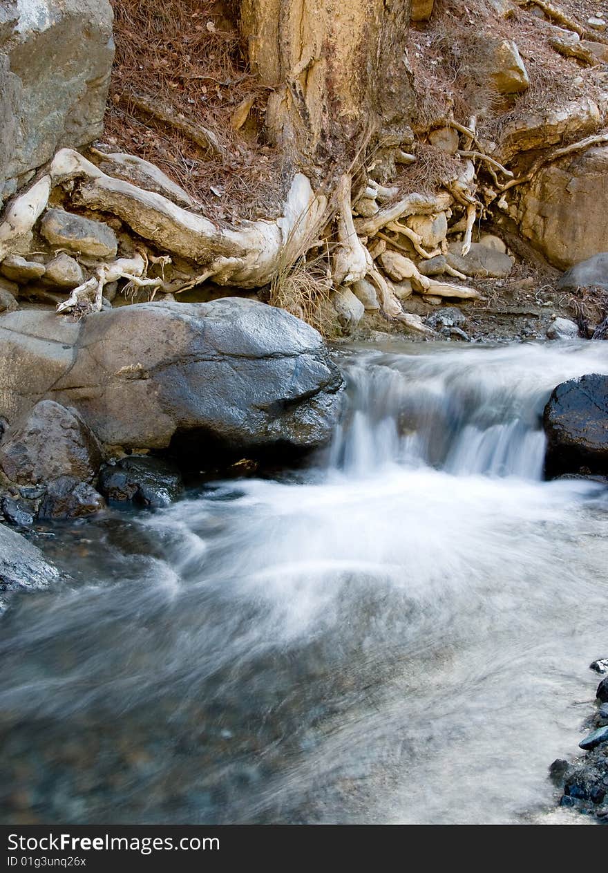 Water stream and tree roots from Troodos area in Cyprus. Water stream and tree roots from Troodos area in Cyprus.