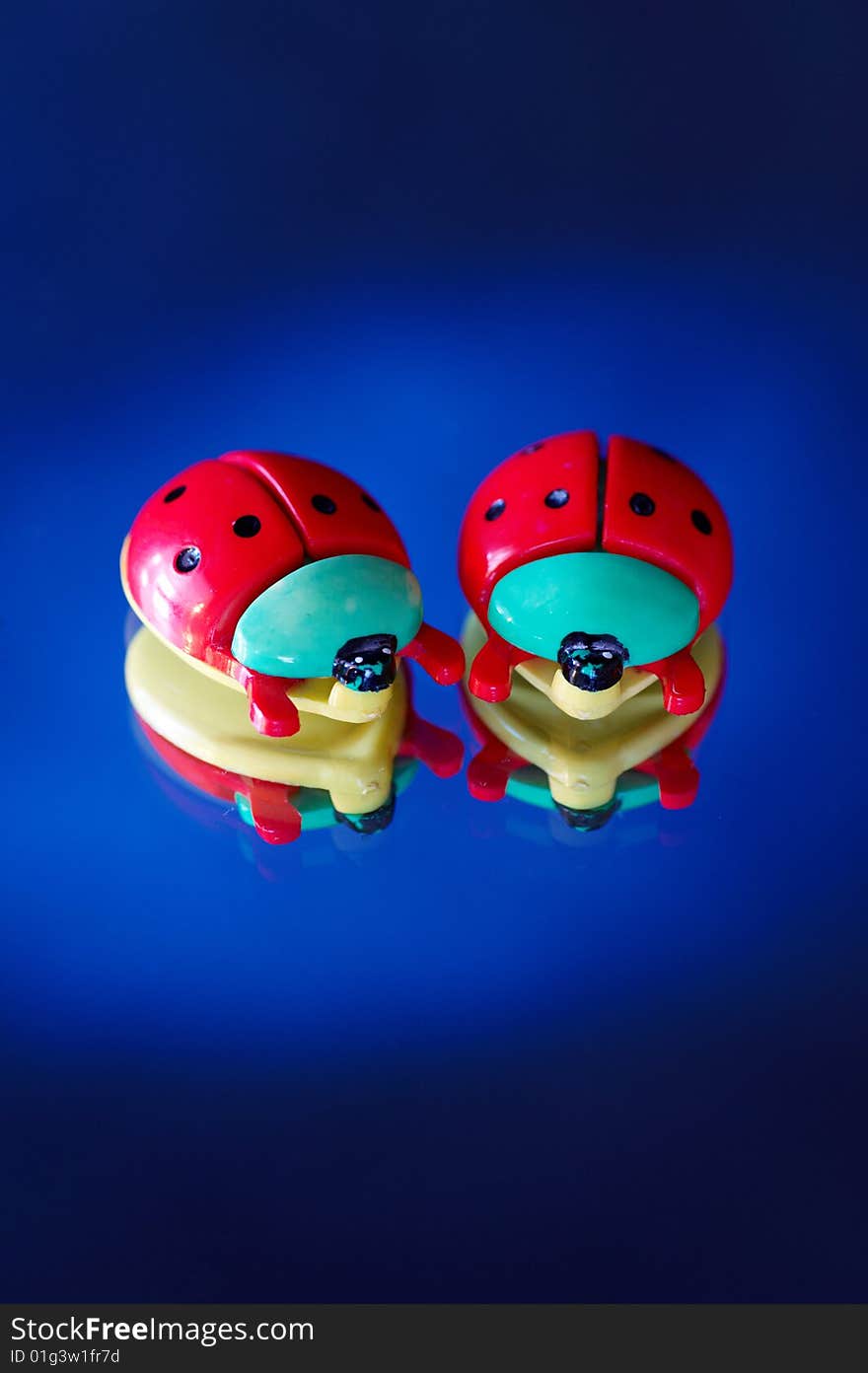 Two ladybirds