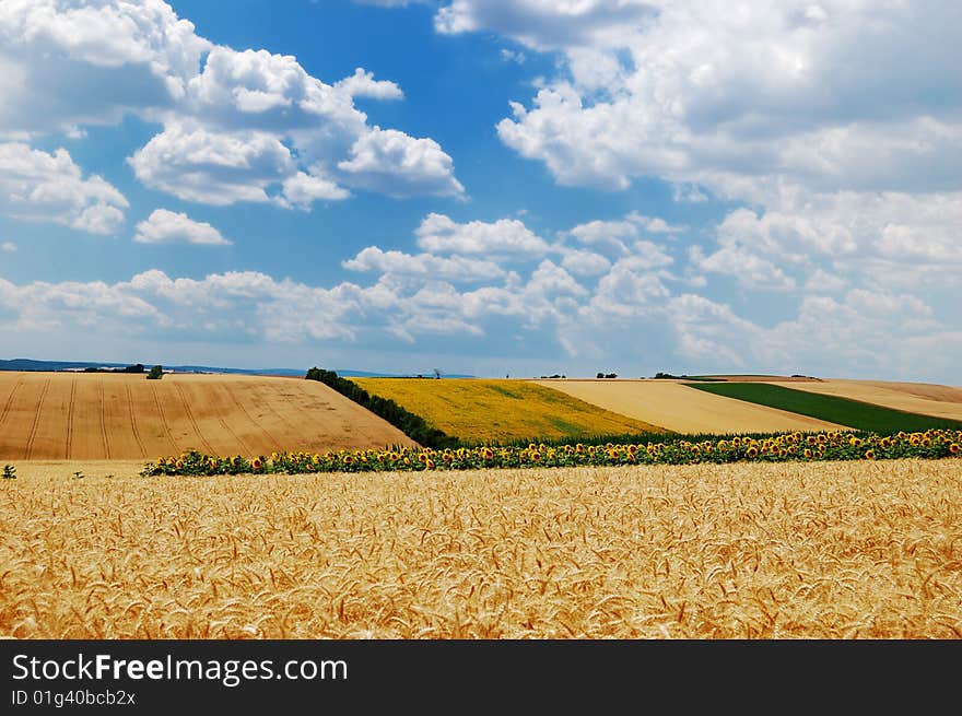 A scenic view of several colorful farming fields. A scenic view of several colorful farming fields