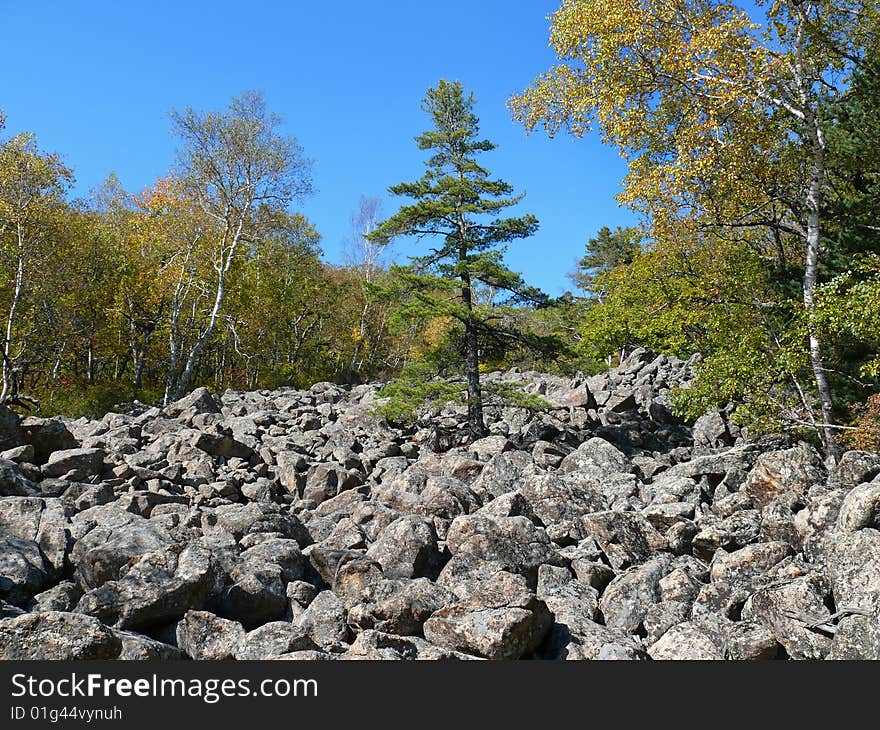 A landscape of autumn highland taiga. A landscape of autumn highland taiga.