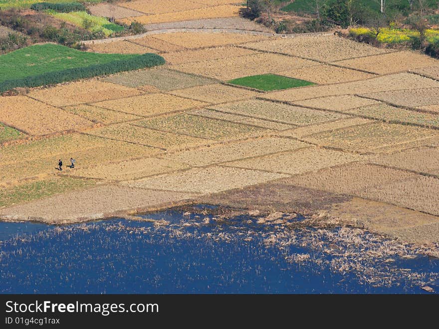 Early spring field, a piece of brown color, only then very few crops. Early spring field, a piece of brown color, only then very few crops