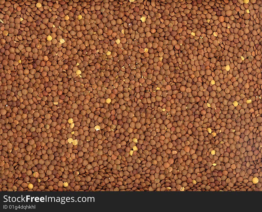 Scan of a random assortment of lentil beans. Scan of a random assortment of lentil beans