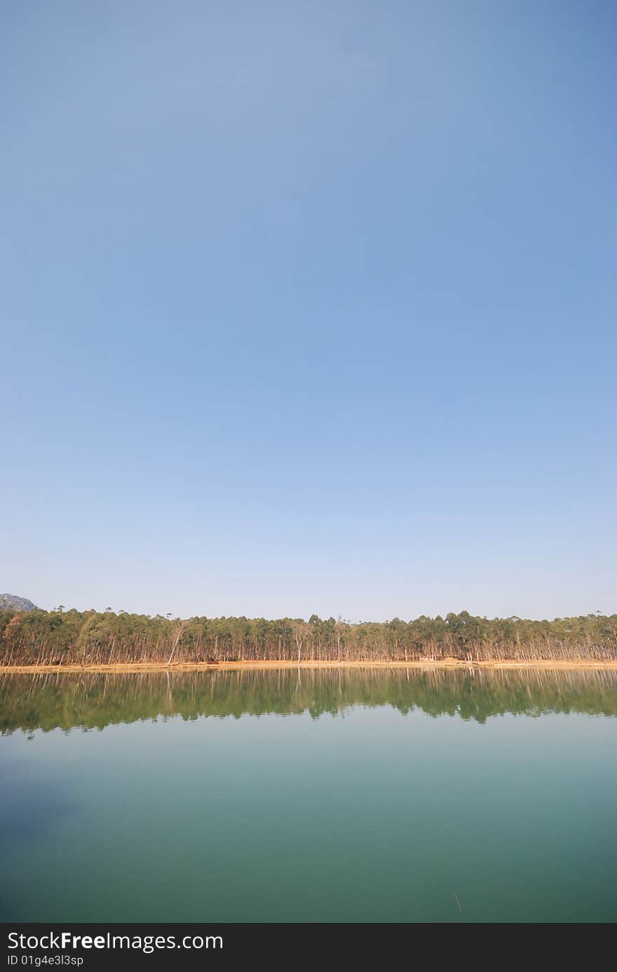 The woods in water inverted image, is an enchanting scenery