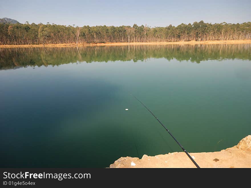 Fishes nearby the scenery beautiful lake water. Fishes nearby the scenery beautiful lake water