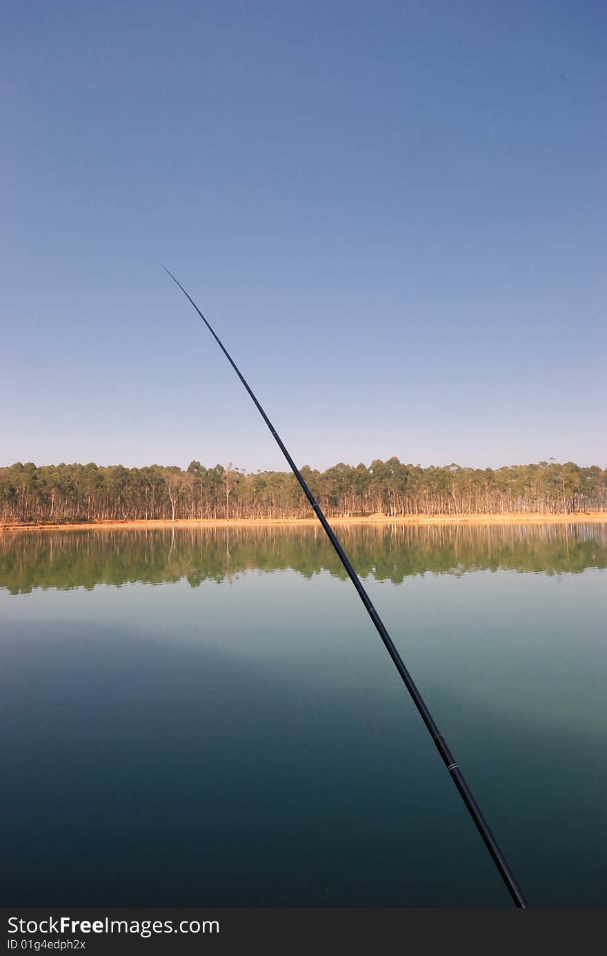 Fishes nearby the scenery beautiful lake water. Fishes nearby the scenery beautiful lake water