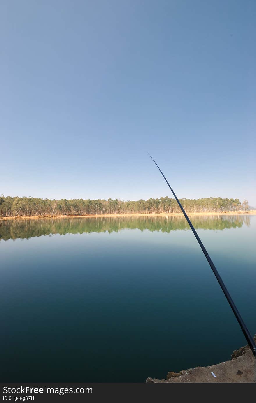 Fishes nearby the scenery beautiful lake water. Fishes nearby the scenery beautiful lake water