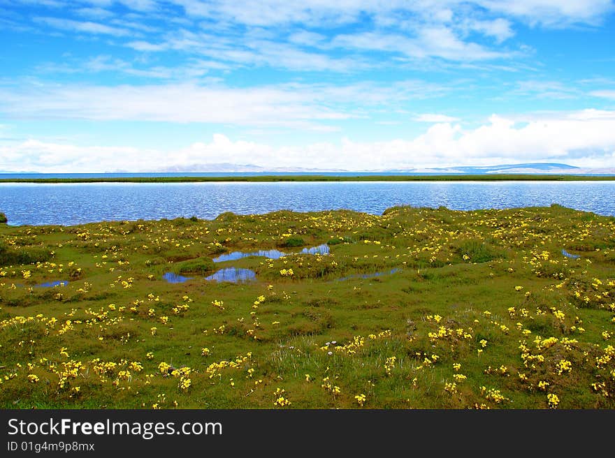 Tibet scenery