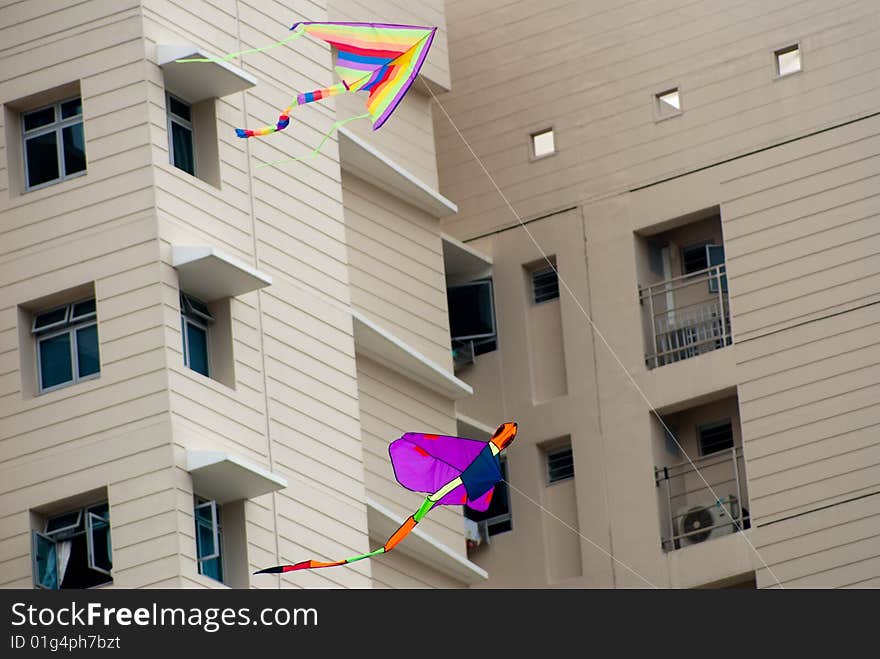 Dragonfly Kite flying in the residential area. Dragonfly Kite flying in the residential area