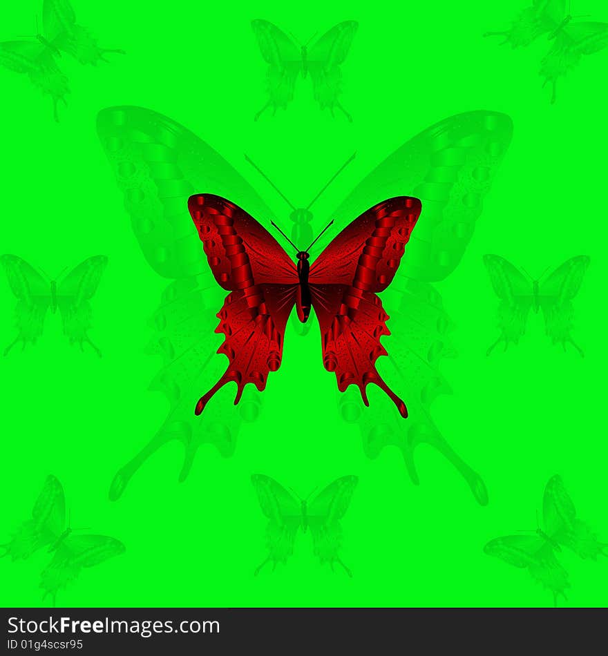 Red butterfly on green background