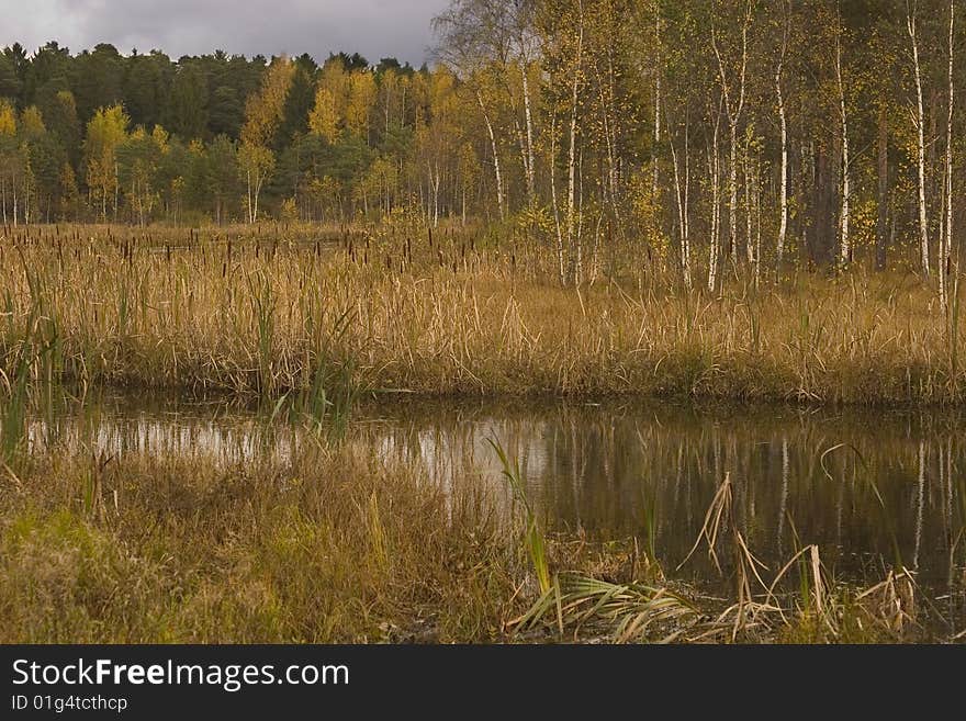 Black Lake in Zelenograd