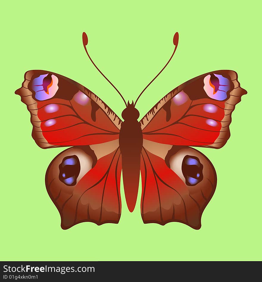 Vector Illustration of detailed Brightly coloured butterfly.