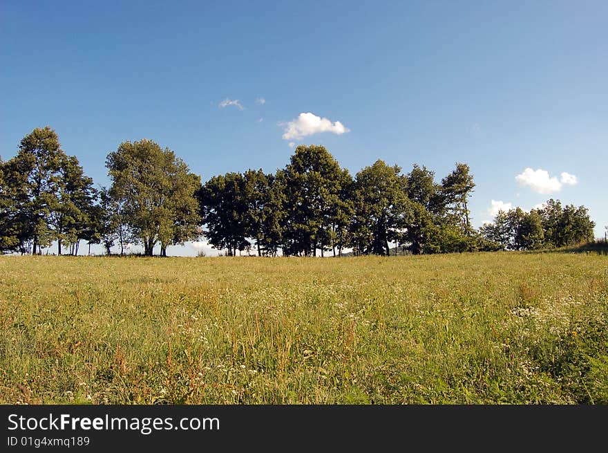 Beautiful landscape. Excellent colors of nature the sky and grass. Beautiful landscape. Excellent colors of nature the sky and grass