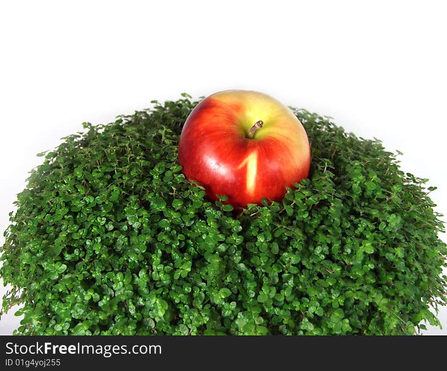 Delightful red apple on a grass. Delightful red apple on a grass