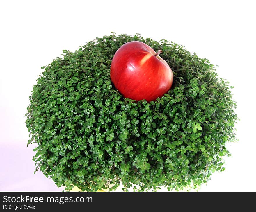 Delightful red apple on a grass. Delightful red apple on a grass